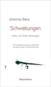Cover von Schwebungen