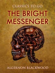 Cover von The Bright Messenger