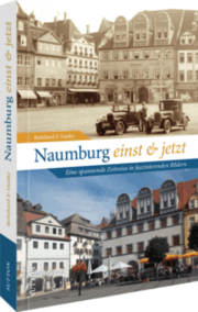 Cover von Naumburg einst und jetzt