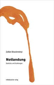 Cover von Notlandung