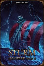 Cover von DSA 109: Hjaldinger-Saga 2 - Sturm (Neuauflage)