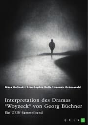 Cover von Interpretation des Dramas 'Woyzeck' von Georg Büchner. Verschiedene Ansätze