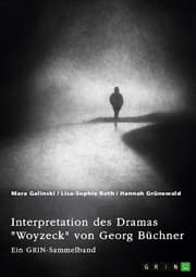 Cover von Interpretation des Dramas 'Woyzeck' von Georg Büchner. Verschiedene Ansätze
