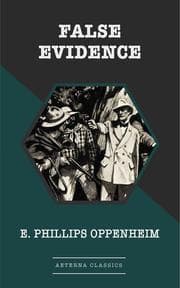 Cover von False Evidence