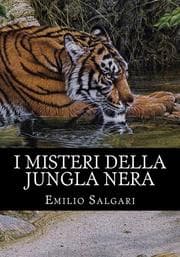 Cover von I misteri della jungla nera