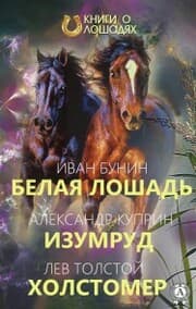 Cover von White horse Emerald Holstomer