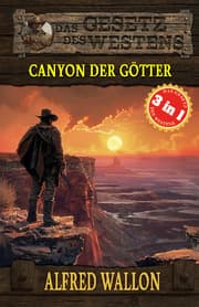Cover von 3 Western in 1: Canyon der Götter