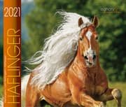Cover von Haflinger 2021