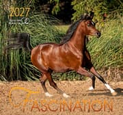 Cover von Fascination 2027