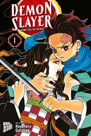 Cover von Demon Slayer 1