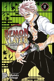Cover von Demon Slayer 17
