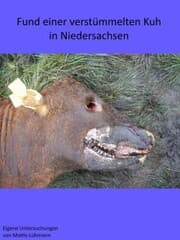 Cover von Fund einer verstümmelten Kuh in Niedersachsen