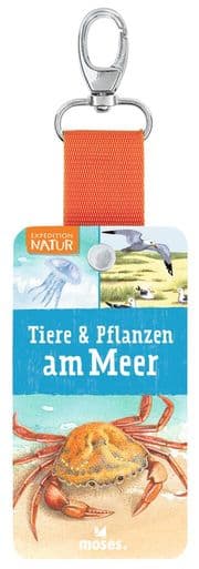 Cover von Expedition Natur - Fächer Tiere & Pflanzen am Meer