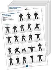 Cover von Poster - Die 15 Ausdrucksformen des Taiji-Qigong (10 Stück DIN A3)