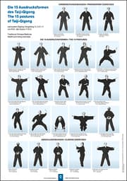 Cover von Die 15 Ausdrucksformen des Taiji Qigong Poster