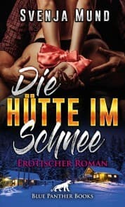 Cover von Die Hütte im Schnee , Erotischer Roman