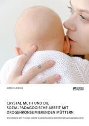 Cover von Crystal Meth und die sozialpädagogische Arbeit mit drogenkonsumierenden Müttern. Wie können Mütter und Kinder in gemeinsamen Wohnformen zusammenleben?