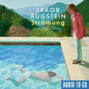 Cover von Strömung