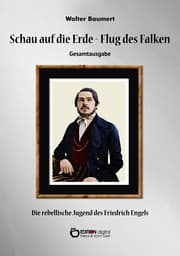 Cover von Schau auf die Erde - Der Flug des Falken. Gesamtausgabe