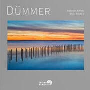 Cover von DÜMMER