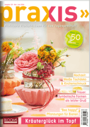 Cover von PRAXIS Nr. 129