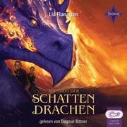 Cover von Aufstieg der Schattendrachen
