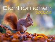 Cover von Eichhörnchen 2024