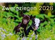 Cover von Zwergziegen 2026