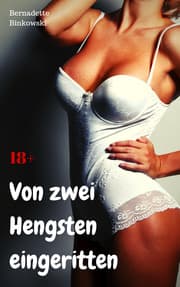 Cover von Von zwei Hengsten eingeritten