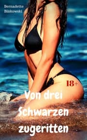 Cover von Von drei Schwarzen zugeritten