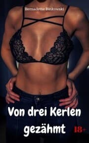 Cover von Von drei Kerlen gezähmt