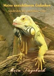 Cover von Meine unsichtbaren Gedanken