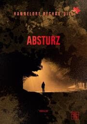 Cover von Absturz
