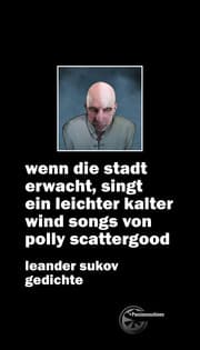 Cover von wenn die stadt erwacht, singt ein leichter kalter wind songs von polly scattergood