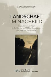 Cover von Landschaft im Nachbild