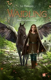 Cover von Waidling 2 - Stadt der Geheimnisse