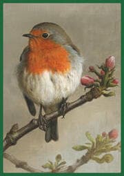 Cover von Vorzugsausgabe: Atlas Deutscher Brutvogelarten (ADEBAR)