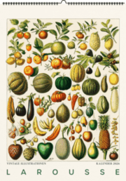Cover von Larousse. Wandkalender 2026