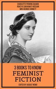 Cover von 3 books to know Feminist Fiction
