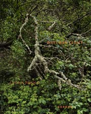 Cover von J. John Priola