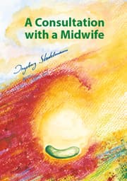 Cover von A Consultation with a Midwife
