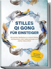 Cover von Stilles Qi Gong für Einsteiger