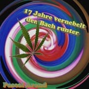 Cover von 17 Jahre vernebelt den Bach runter