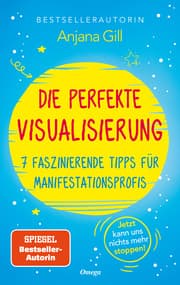 Cover von Die perfekte Visualisierung