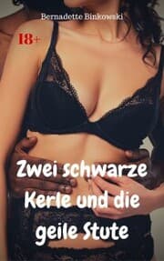 Cover von Zwei schwarze Kerle und die geile Stute