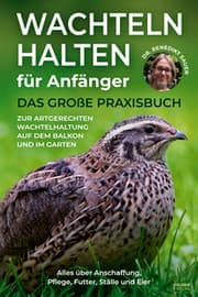 Cover von Wachteln halten für Anfänger