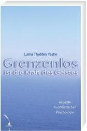 Cover von Grenzenlos ist die Kraft des Geistes
