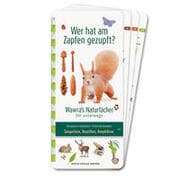 Cover von Wer hat am Zapfen gezupft?/Adalia oder Coccinella?