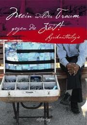 Cover von Mein wilder Traum gegen die Zeit
