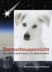 Cover von Sternschnuppenlicht